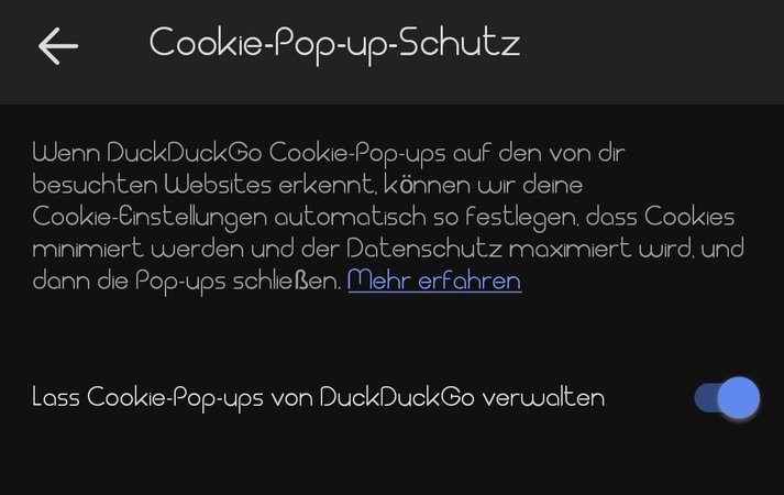 Screenshot_2023-10-01-17-17-55-232_com.duckduckgo.mobile.android-edit.jpg