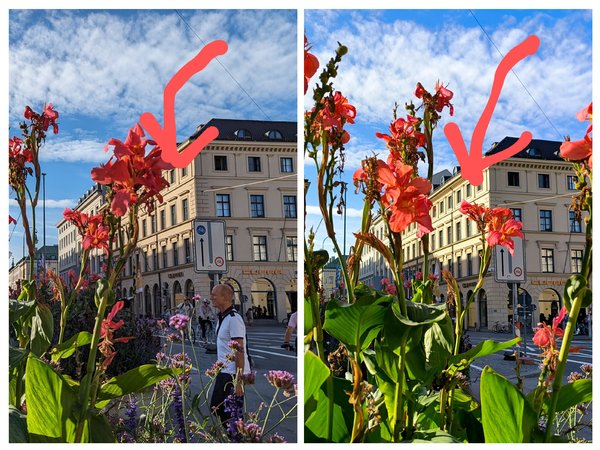 20231002_091300-COLLAGE~2.jpg