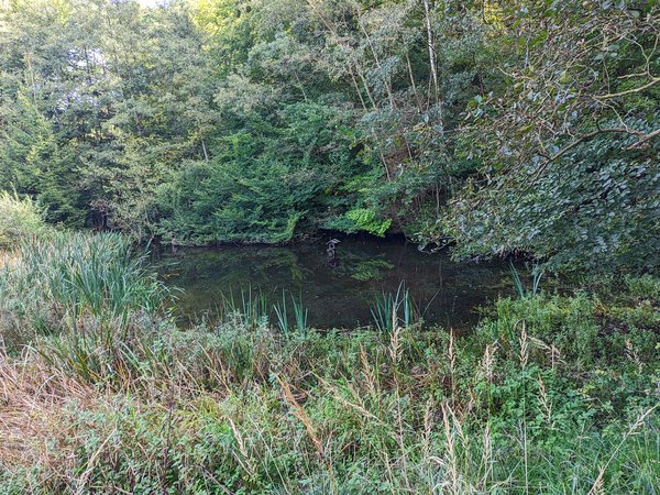 PXL_20231001_104548609.jpg