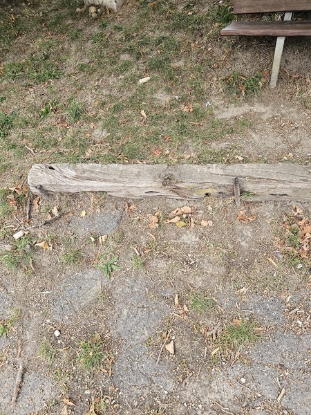 20231003_165312.jpg