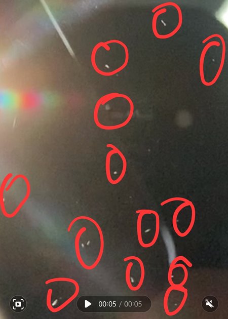 Screenshot_20231005_174825_Gallery.jpg