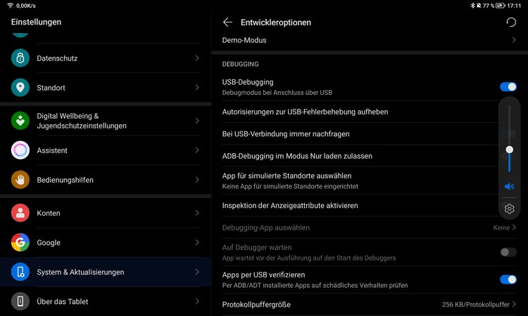 Entwickleroptionen.jpg