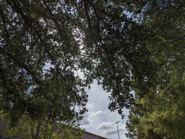 Ultra_HDR_Samples_Originals_10.jpg
