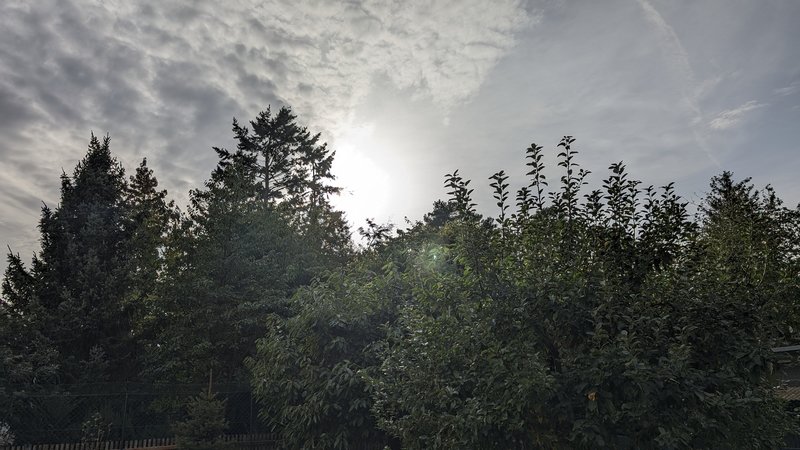 PXL_20231013_135036275.jpg