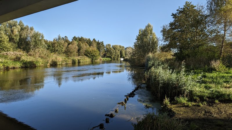 Pixel 8 Pro  1x.jpg