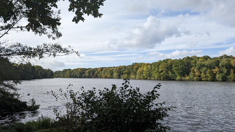 PXL_20231014_123822612.jpg