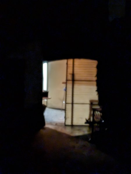 PXL_20231014_173536425.NIGHT.jpg