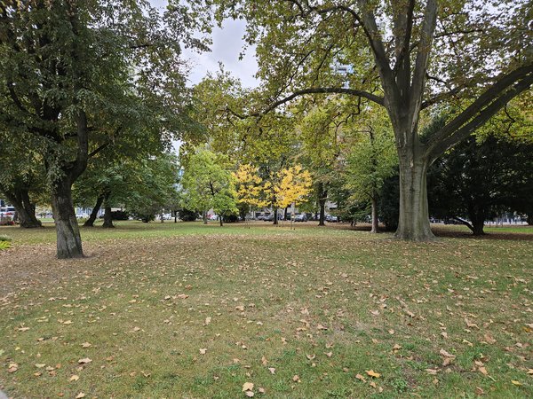 20231015_153537.jpg