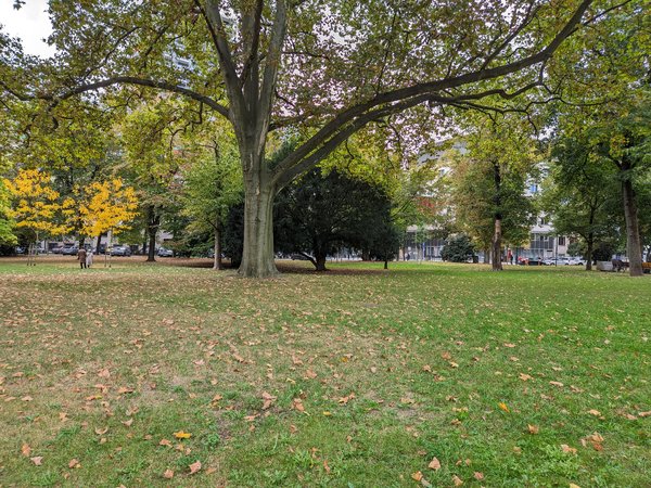 PXL_20231015_153513290.jpg