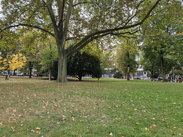 20231015_153505.jpg