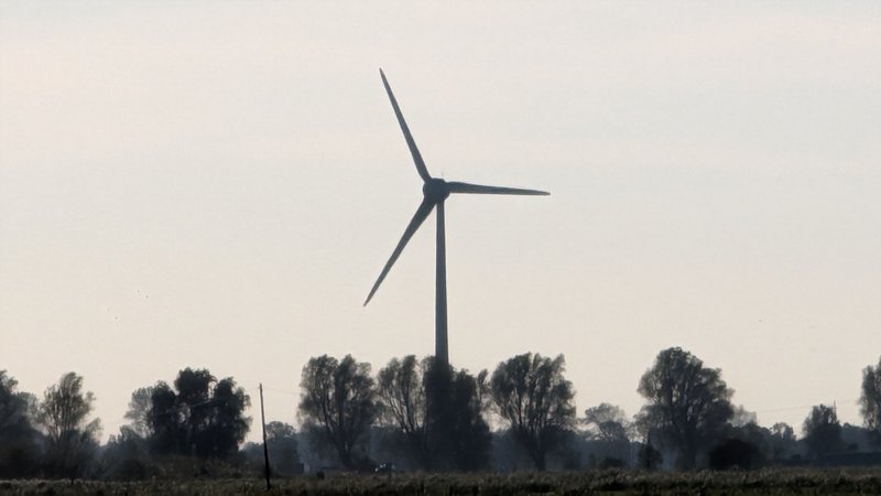 PXL_20231017_141142663.jpg