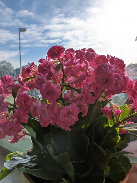 PXL_20231025_100425395.jpg
