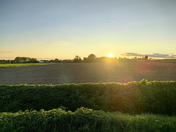Blendenz. F1.4.jpg