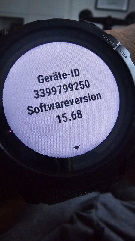20231028_083220.jpg