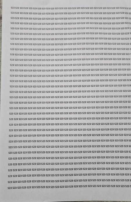 20231029_140815.jpg