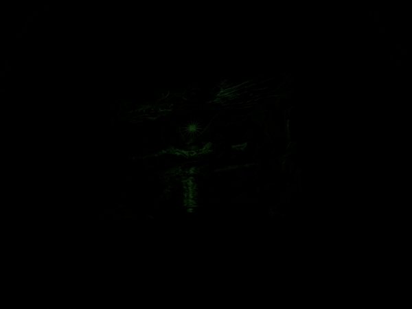 IMG_1483.jpeg