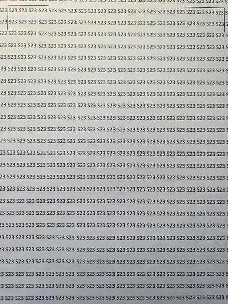 20231030_141657.jpg