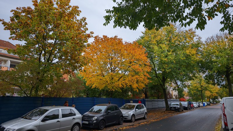 20231030_145123_lmc_8.4.jpg