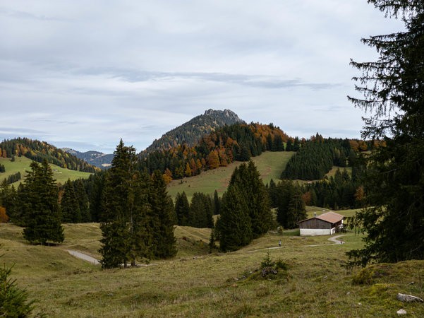 IMG_20231029_112239-Verbessert-RR.jpg