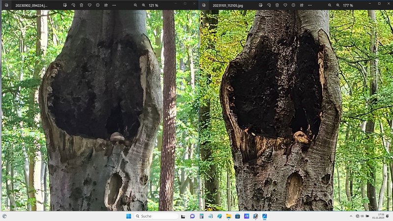 12 MPix vor und nach dem Update.jpg