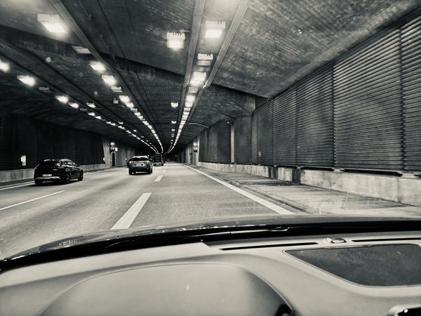 IMG_4391.jpeg