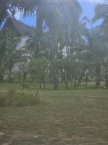 20231108_092857.jpg