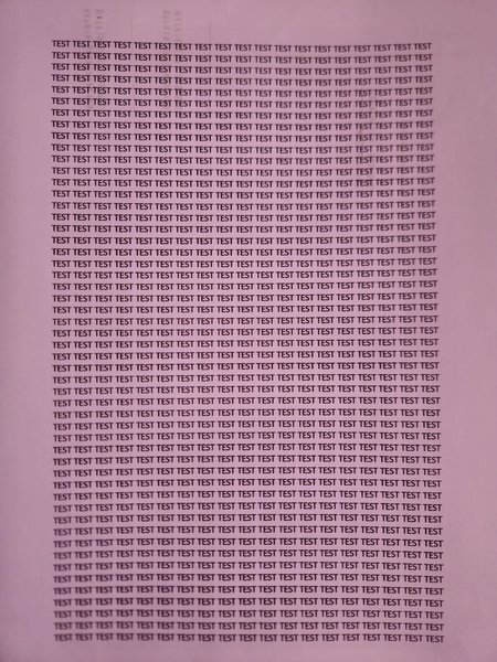 Bild 2_expert raw.jpg
