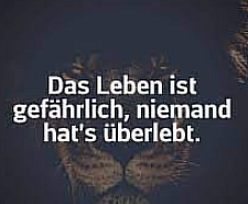 1700173293690.png