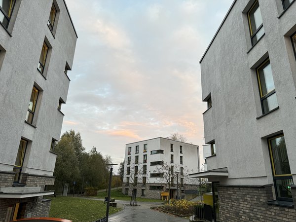 IMG_1851.jpeg