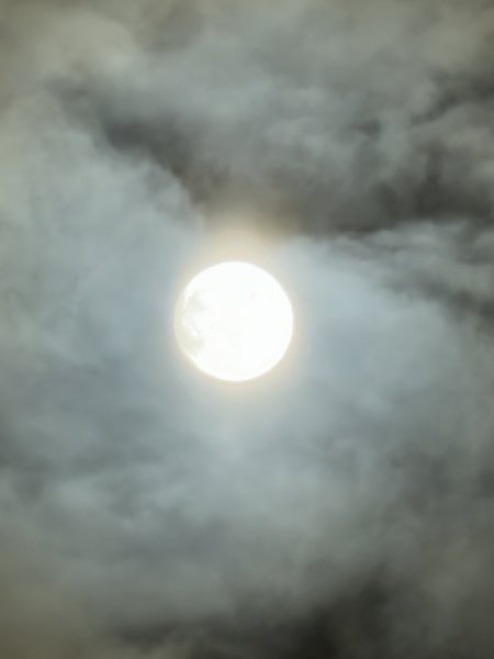 IMG_1952.jpeg