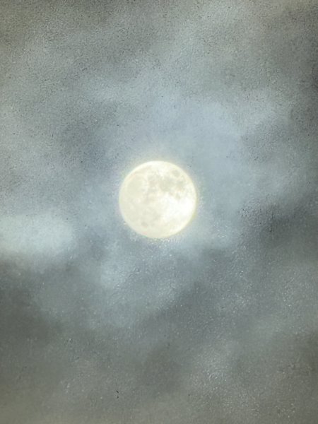 IMG_1953.jpeg