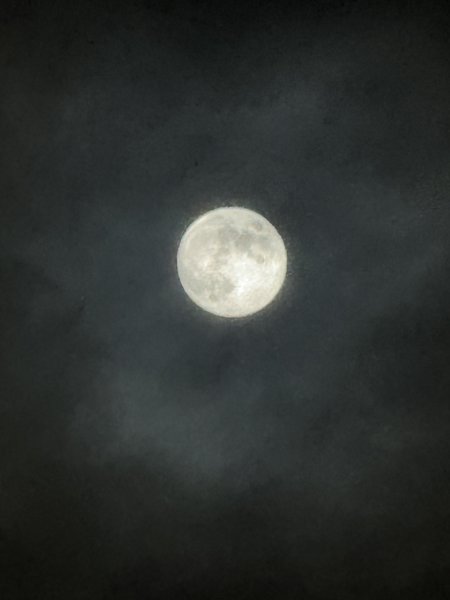 IMG_1954.jpeg
