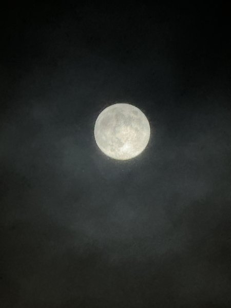 IMG_1955.jpeg