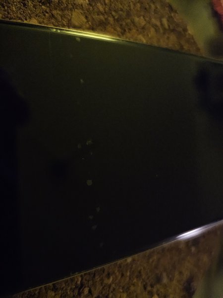 20231129_181750.jpg