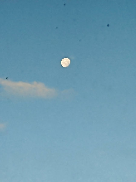 IMG_20231130_082844.jpg