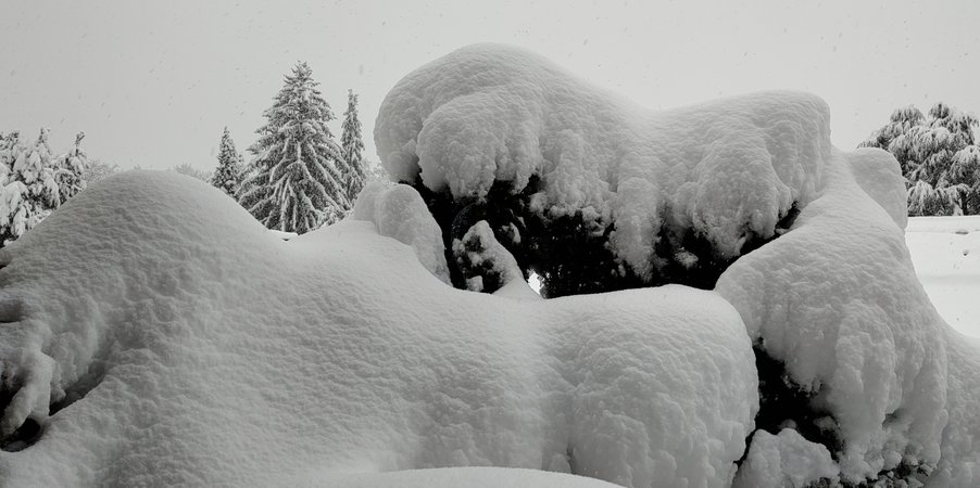 2.12.23,12 h.jpg