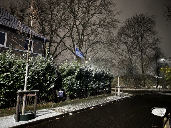 IMG_2163.jpeg