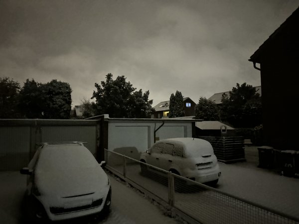 IMG_2186.jpeg