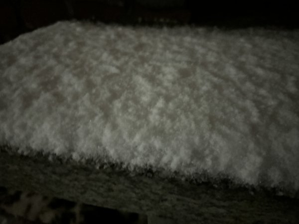 IMG_2187.jpeg