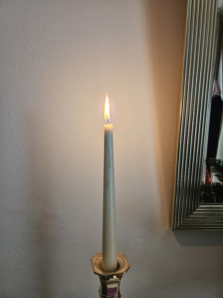 20231204_123118.jpg
