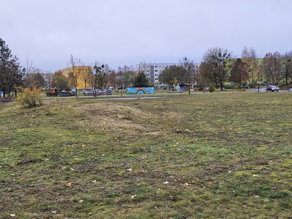 20231117_091720-2X Stock-12 MP.jpg