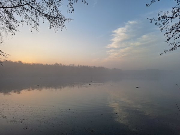 20231207_084453.jpg