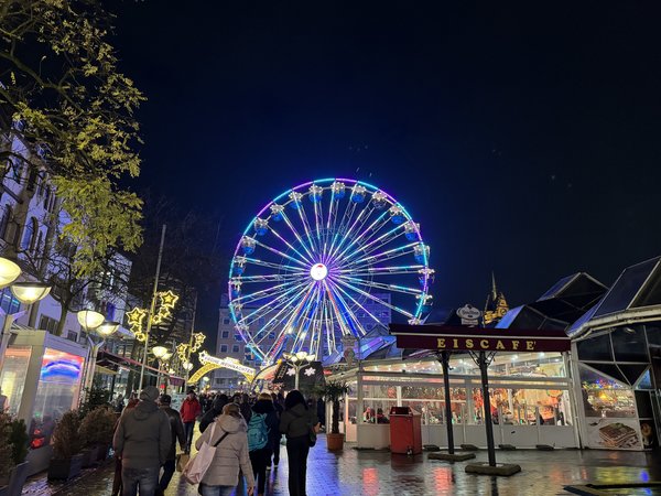 IMG_2381.jpeg