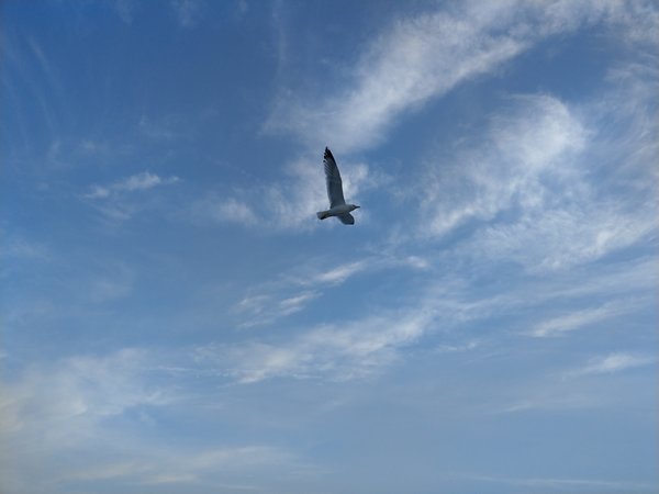 IMAG9291.jpg