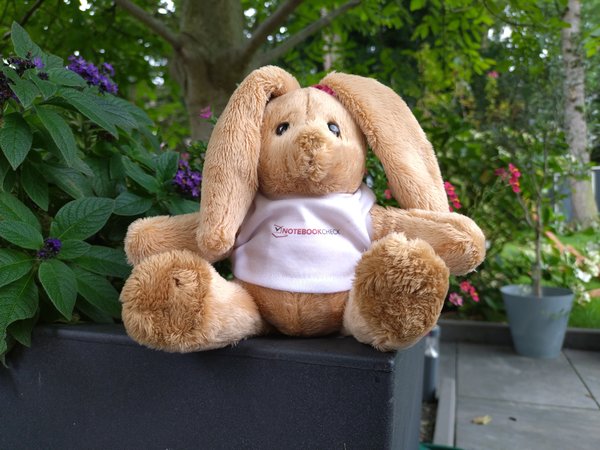 Foto_Xperia10V_Hase.jpeg