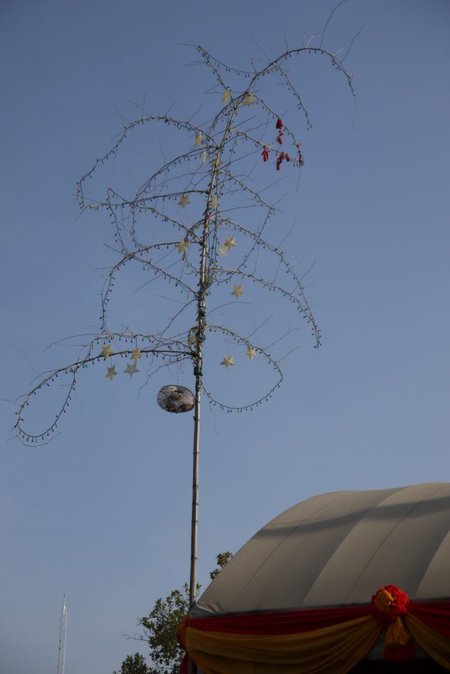 Kahler-Weihnachtsbaum-mit-Stern.jpg
