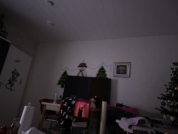 14 PM normal .JPG