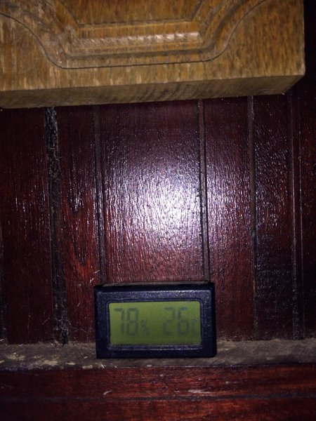 IMG_20231217_013557990.jpg