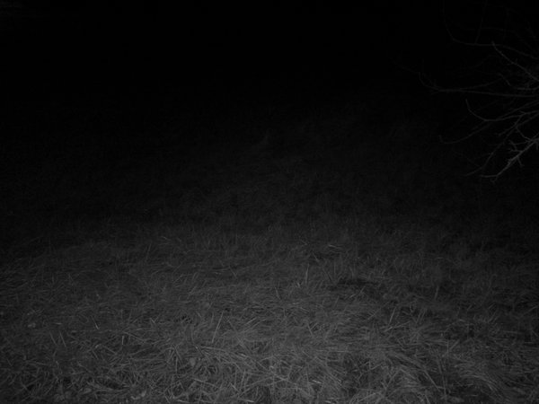 10_Nightvision_1_Stock.jpg