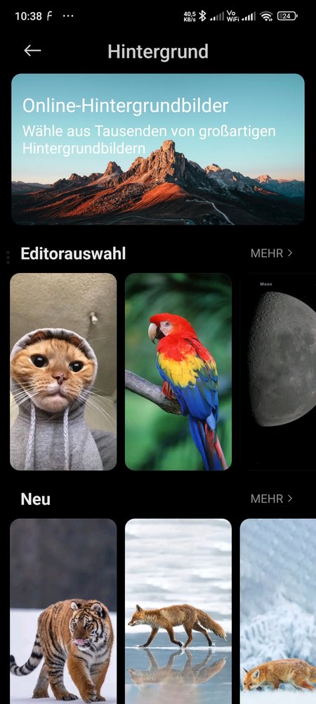Screenshot_2023-12-23-10-38-36-264_com.android.thememanager.jpg